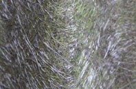 Wickham Skeith fibreglass roof work